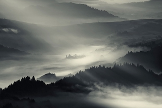 Illustration for article titled Forests, fog and light make these long-exposure photographs look like paintings